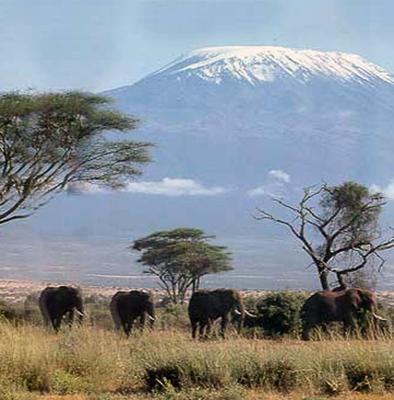 The interesting facts about Mount Kilimanjaro
